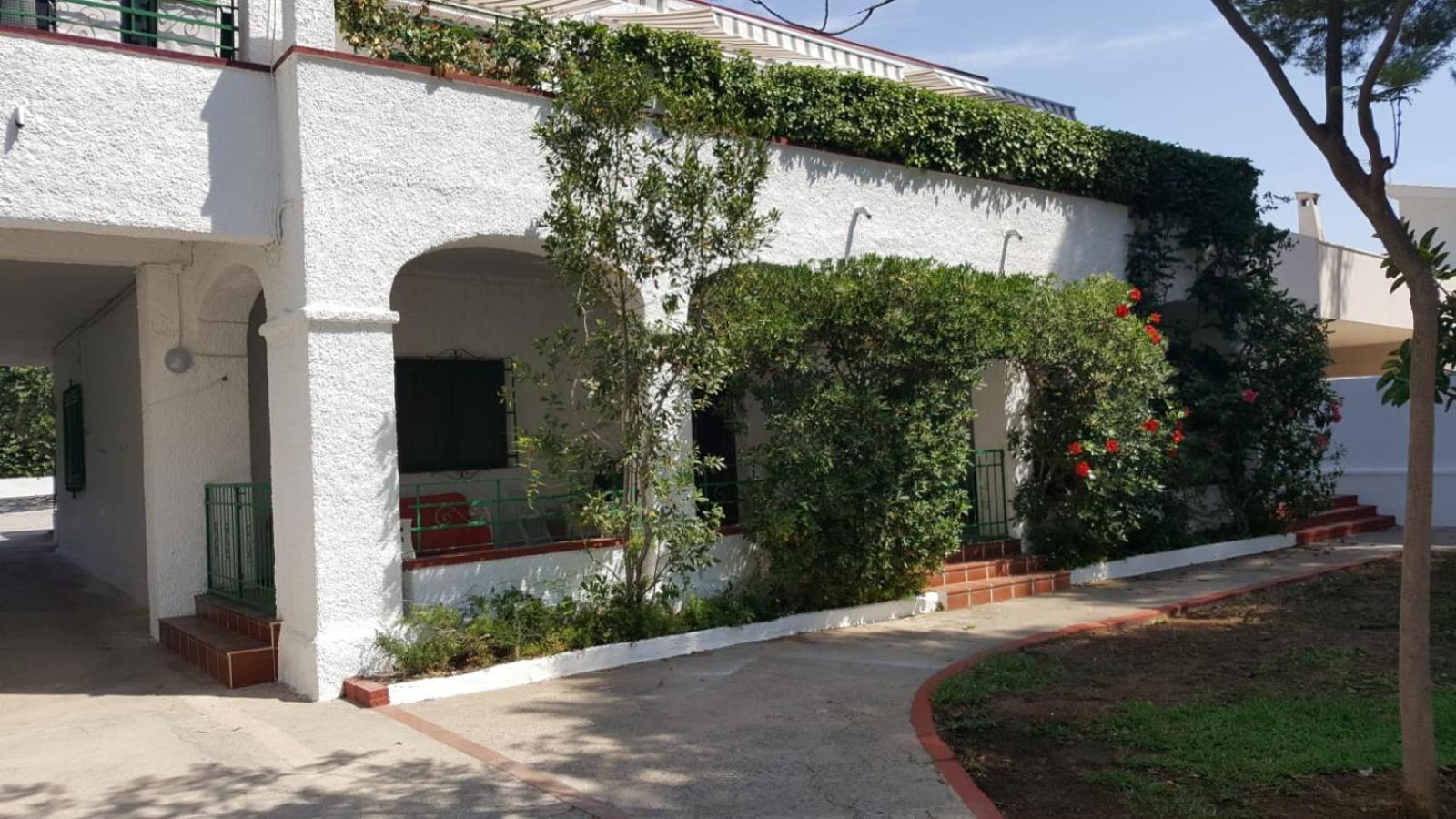 Villa Feli 3 Benicàssim Exterior foto
